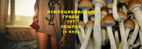 стафф Белокуриха