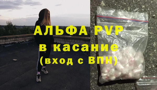 стафф Белокуриха