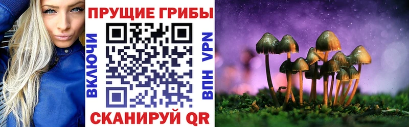 Псилоцибиновые грибы прущие грибы  Первомайск 